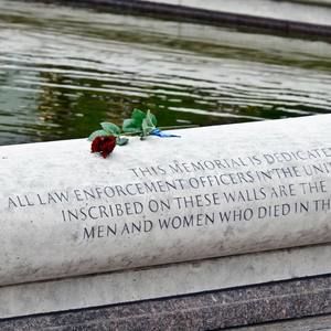 Meet your Posher, Dee